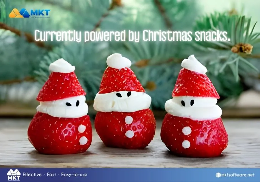 Hilarious Christmas captions for business Hilarious Christmas captions for business