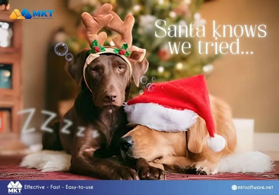 Funny Christmas captions for business Funny Christmas captions for business